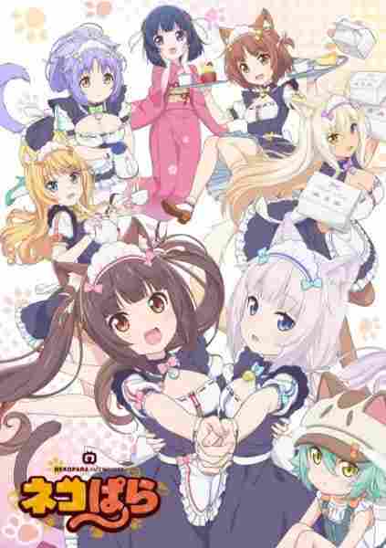 Nekopara BD