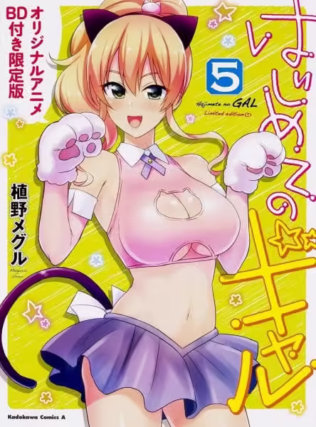 Hajimete no Gal: Hajimete no Bunkasai BD